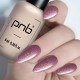 Гел лак PNB 8 мл 372